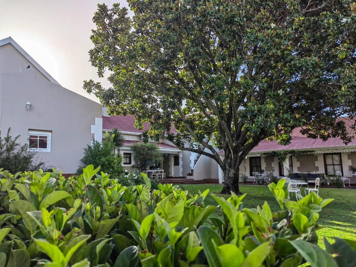 Monte Rosa Guesthouse Rawsonville Exterior foto